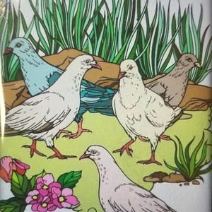 Meet your Posher, Ines